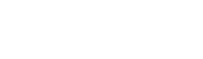 Abogados en Acción